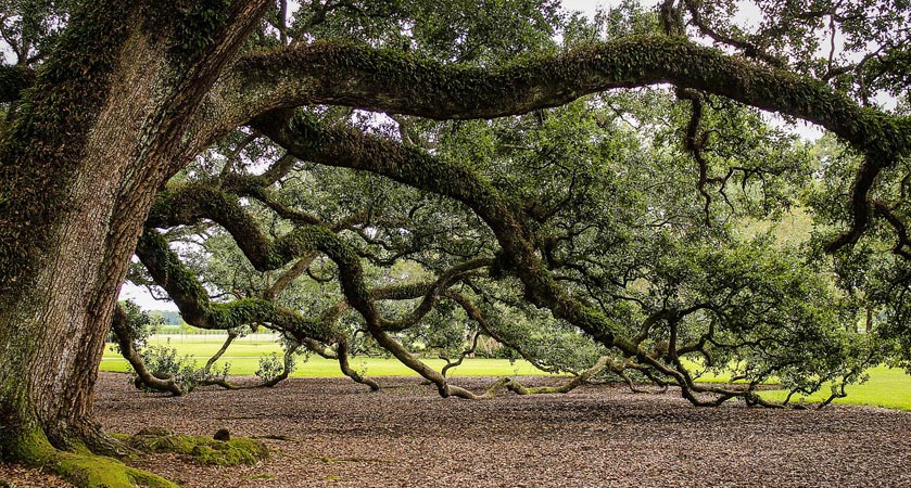 网页在线DDOS压力测试